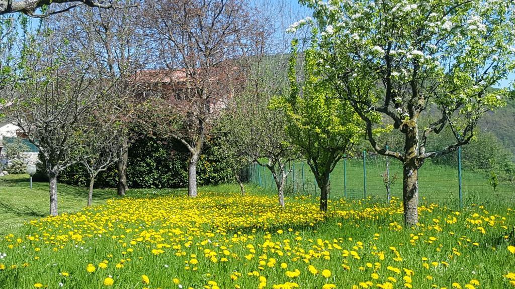 Villa San Giorgio Pellio Superiore Luaran gambar